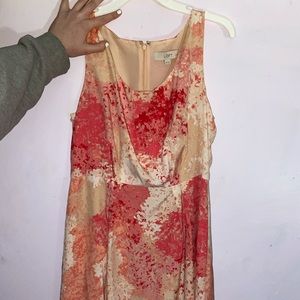 Ann Taylor Loft Dress